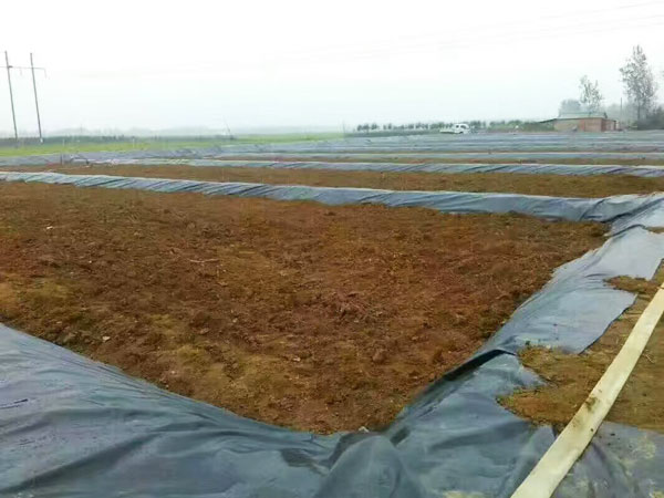 山东路祥德工程材料有限公司,工程案例